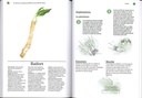 Les plantes aromatiques - JM Fortier