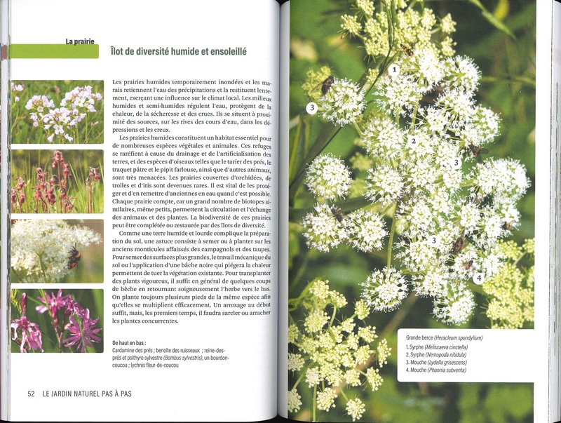 Le jardin naturel pas à pas