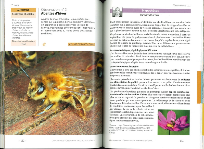 Observations sur la planche d'envol