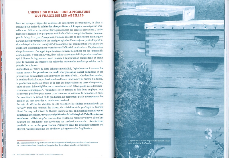 Abeilles mellifères le pari du réensauvagement