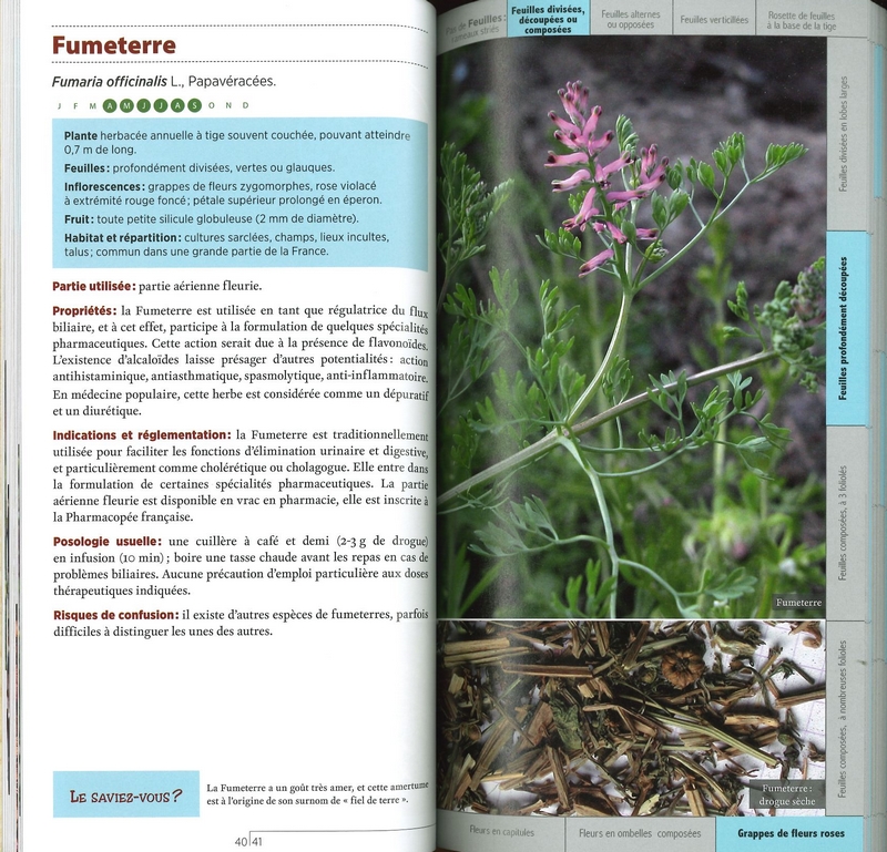 Guide des plantes médicinales sauvages
