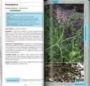 Guide des plantes médicinales sauvages