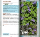 Guide des plantes médicinales sauvages