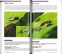 Guide des insectes
