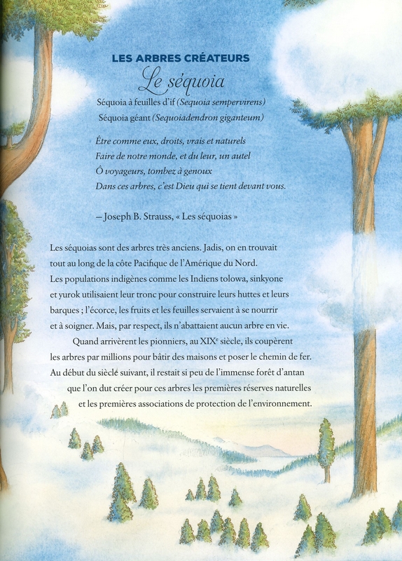 L'univers est un arbre