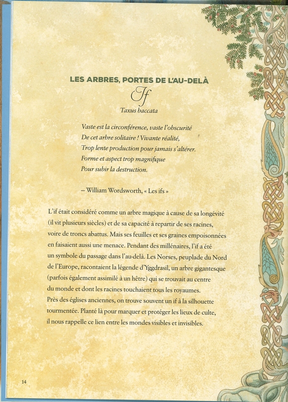 L'univers est un arbre