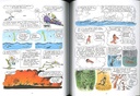 Le monde sans Fin - BD