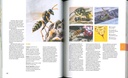 Des bestioles et des plantes