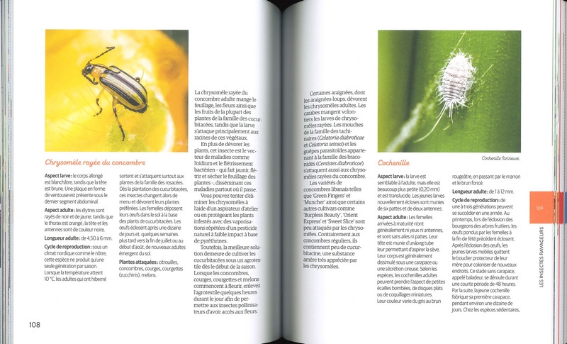 Des bestioles et des plantes