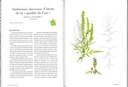 Les plantes du chaos
