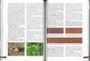 Les 157 couleurs de Paul Gout