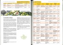 Variétés fruitières pour des jardins-forêts productifs
