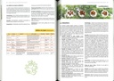 Variétés fruitières pour des jardins-forêts productifs
