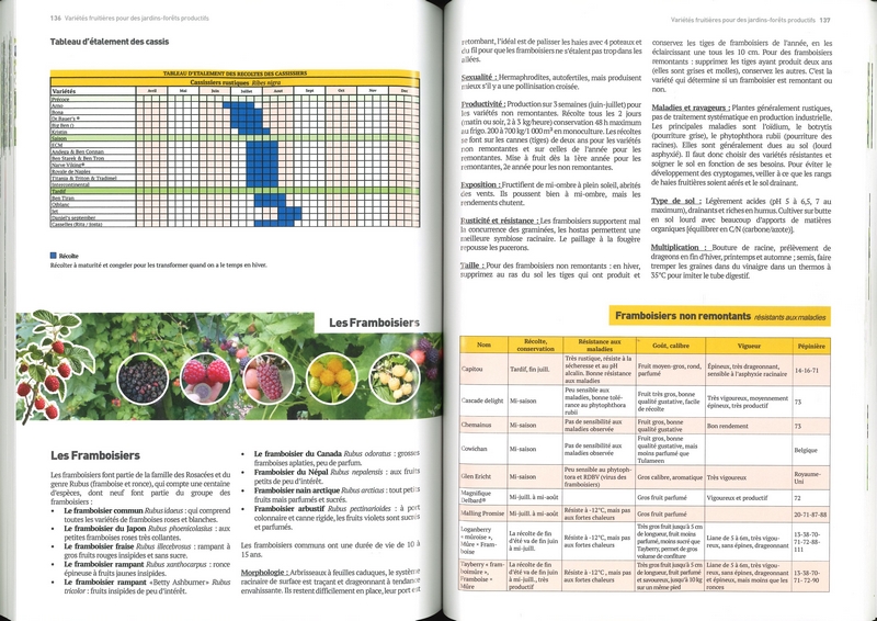 Variétés fruitières pour des jardins-forêts productifs