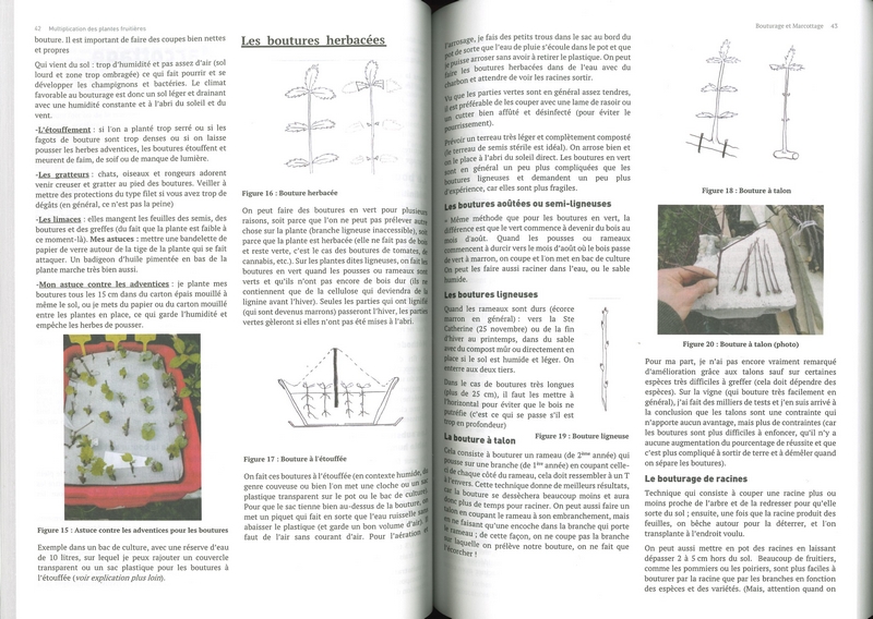 Multiplication - Taille & Ressources variétales