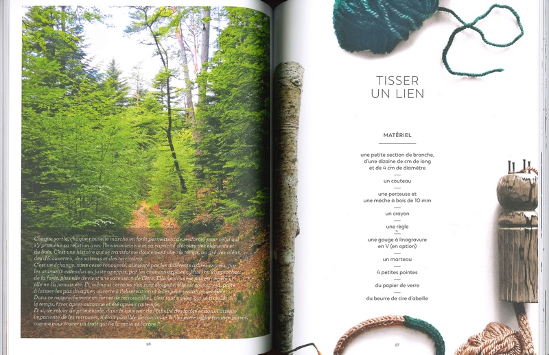 Sculpter la forêt