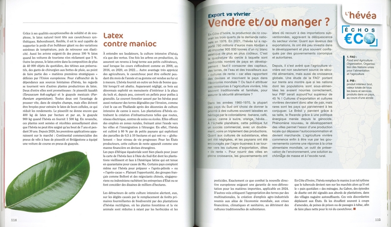 Le dessous des plantes