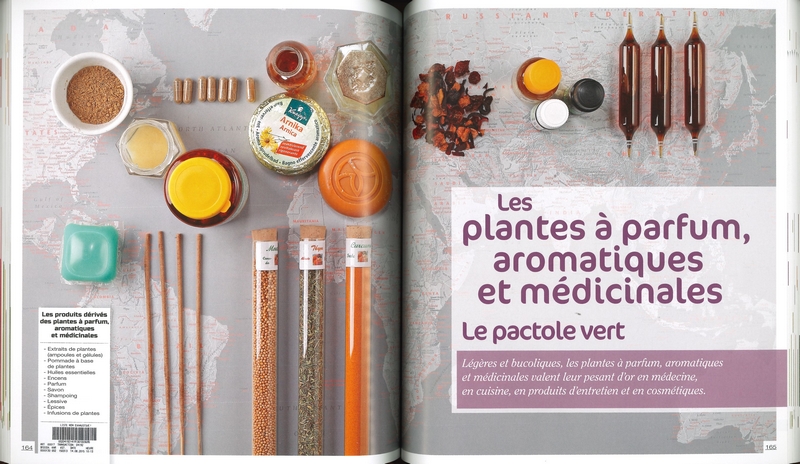 Le dessous des plantes