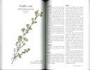 Les plantes sauvages - Thévenin