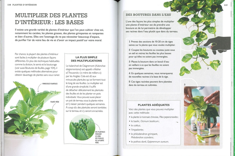 Tout faire pousser gratuitement
