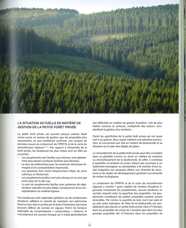 Le grand livre de la forêt