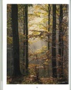 Le grand livre de la forêt