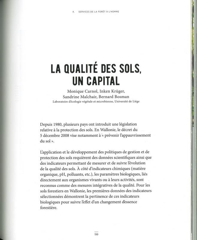Le grand livre de la forêt