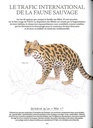 Ces animaux qui nous protègent