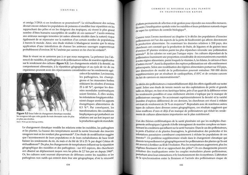 Santé planétaire