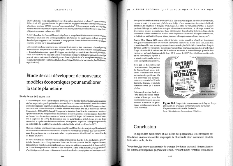 Santé planétaire