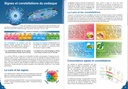 Calendrier lunaire 2026