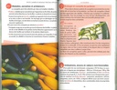 Les plantes légumières feuilles et fruits