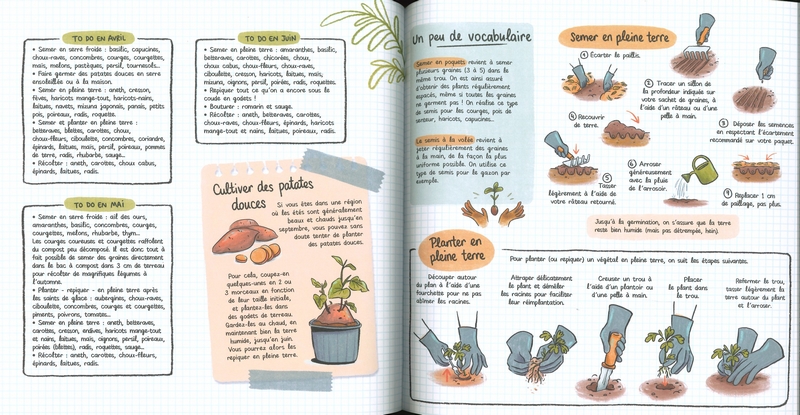 Petites leçons de permaculture - BD