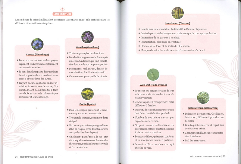 Mon manuel des fleurs de Bach