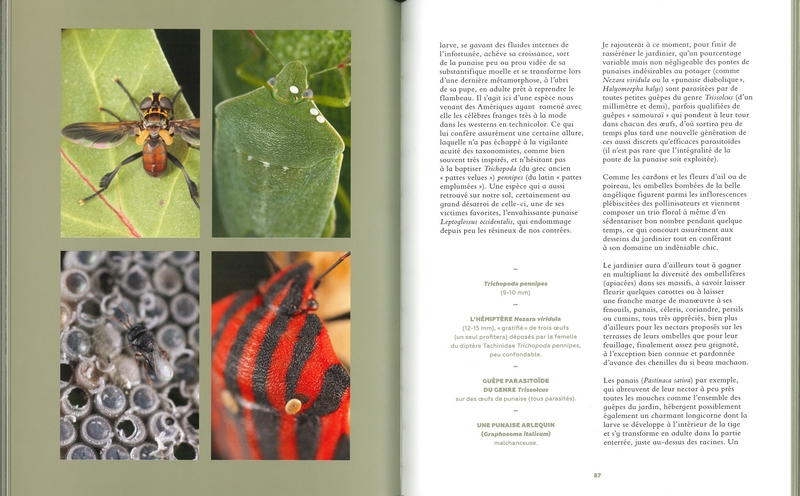 Les jardiniers invisibles