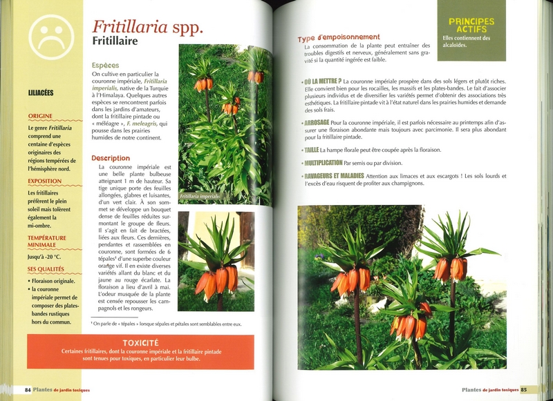 Plantes de jardin toxiques