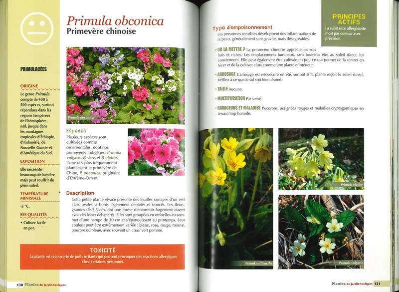 Plantes de jardin toxiques