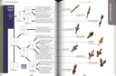 Le guide nature en forêt - Nelle édition
