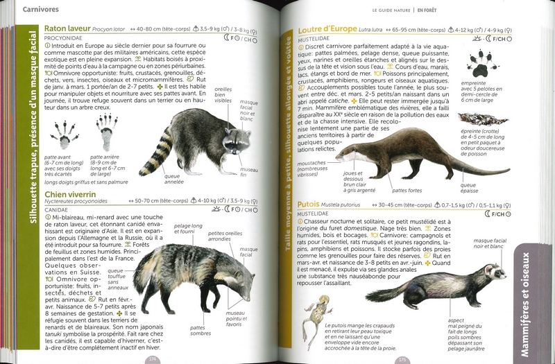 Le guide nature en forêt - Nelle édition