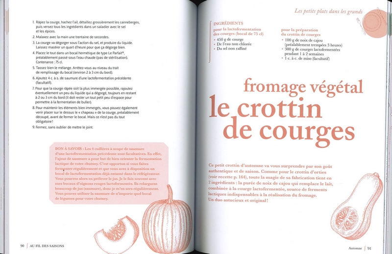 Mon année fermentée