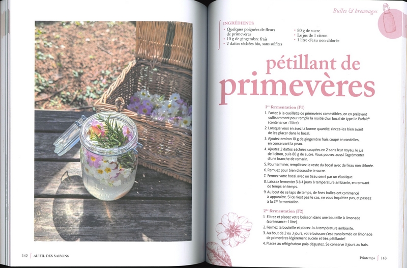 Mon année fermentée