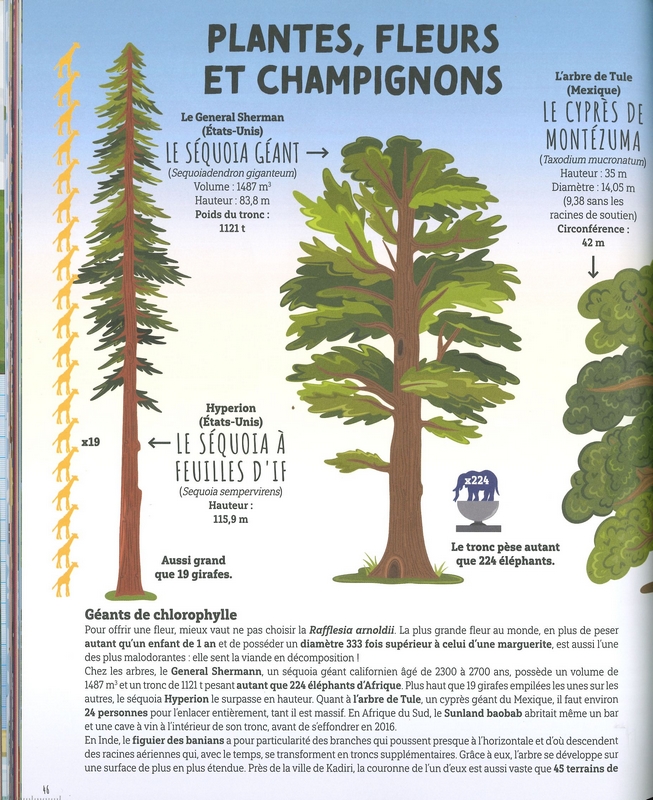 Plus haut plus rapide plus vaste