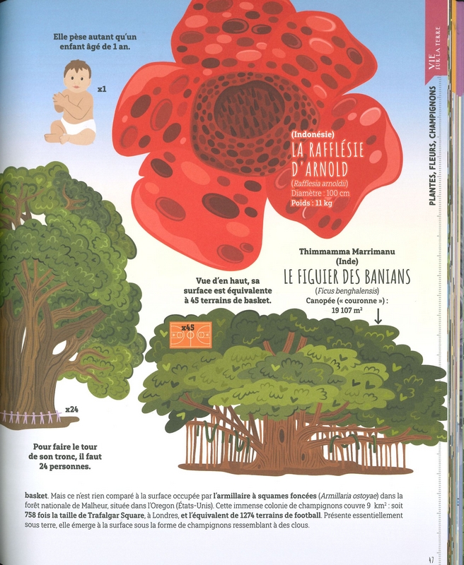 Plus haut plus rapide plus vaste