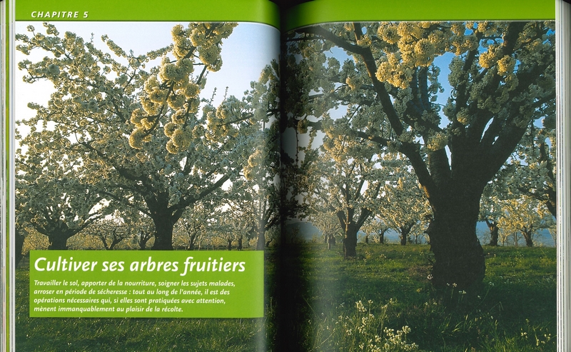 Le traité Rustica des arbres fruitiers