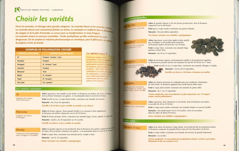 Le traité Rustica des arbres fruitiers