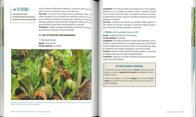 Le Petit traité rustica des soins bio au potager