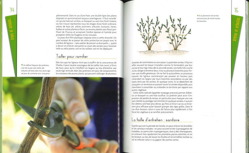 Trucs et astuces du jardinier écolo