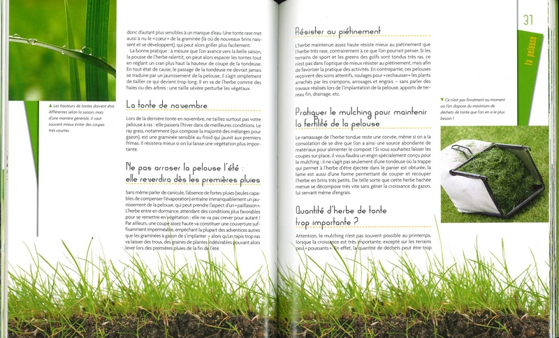 Trucs et astuces du jardinier écolo