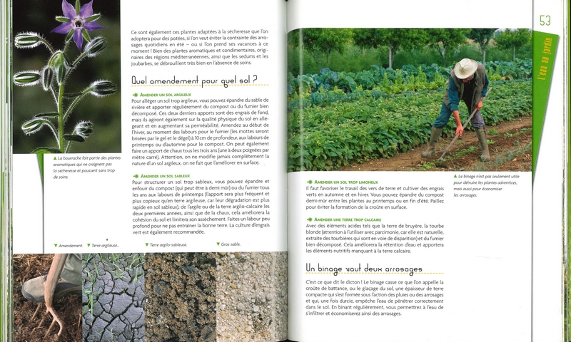 Trucs et astuces du jardinier écolo