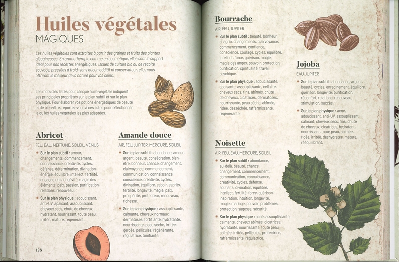 Mon grimoire de sorcière alchimiste